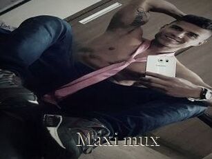 Maxi_mux