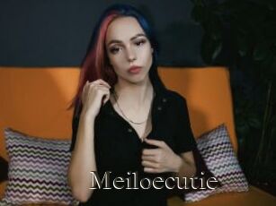 Meiloecutie