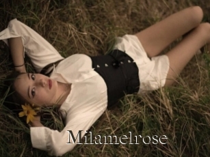 Milamelrose