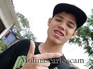 Molinascarloscam