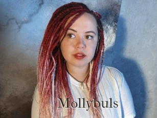 Mollybuls