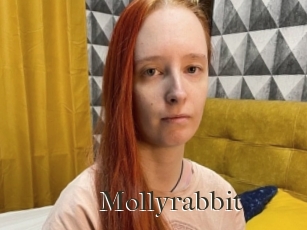 Mollyrabbit