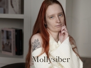 Mollysiber