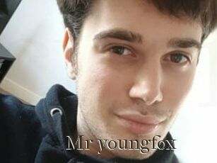 Mr_youngfox