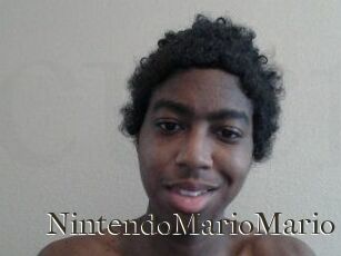 NintendoMarioMario