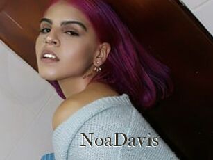 NoaDavis