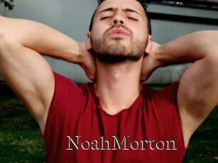 NoahMorton