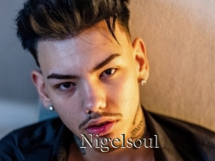 Nigelsoul