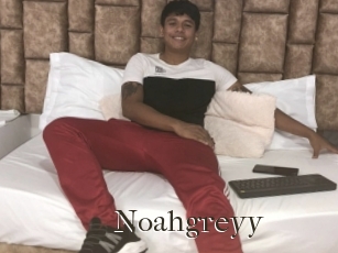 Noahgreyy