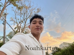 Noahkarter