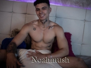 Noahmush