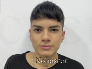 Nohascot