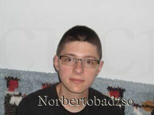 Norbertobadzso