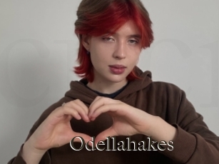 Odellahakes