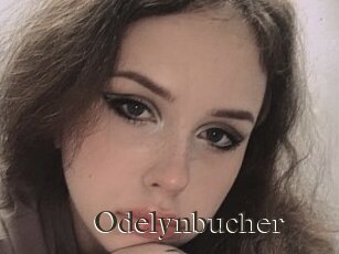 Odelynbucher