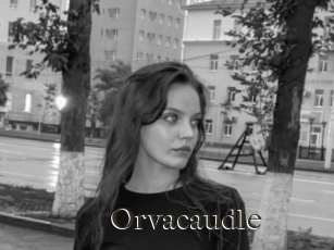 Orvacaudle