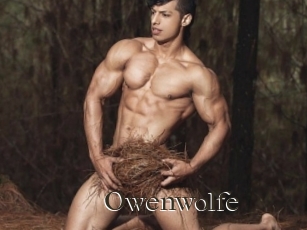 Owenwolfe