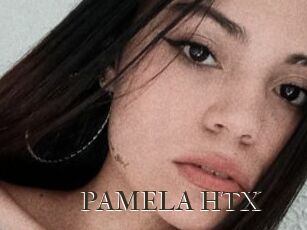 PAMELA_HTX