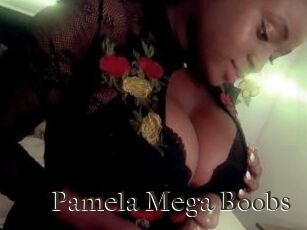 Pamela_Mega_Boobs