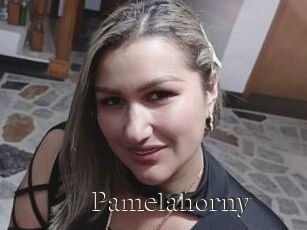 Pamelahorny