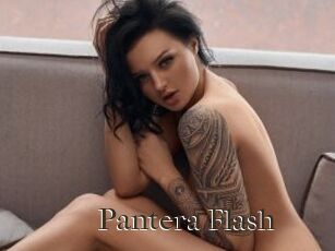 Pantera_Flash