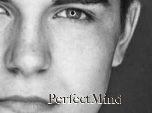 PerfectMind