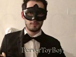 PerverToyBoy