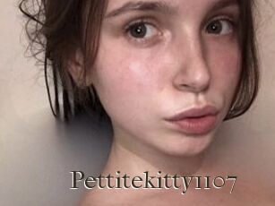 Pettitekitty1107