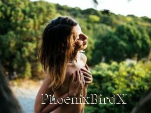 PhoenixBirdX