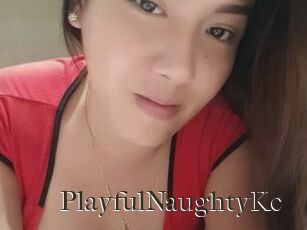 PlayfulNaughtyKc