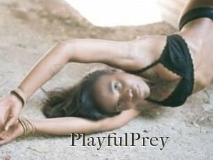 PlayfulPrey