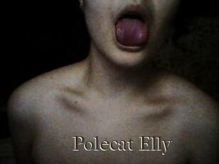 Polecat_Elly