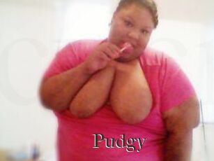 Pudgy