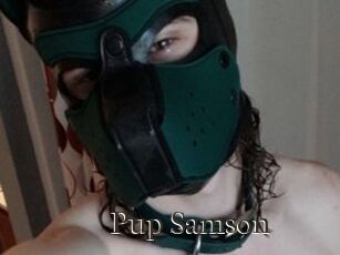 Pup_Samson