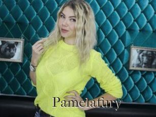 Pamelafury