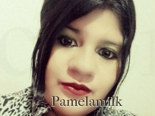 Pamelasuite