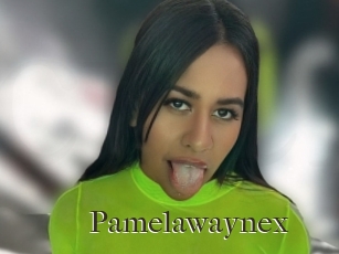 Pamelawaynex