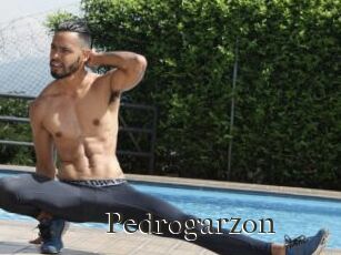 Pedrogarzon