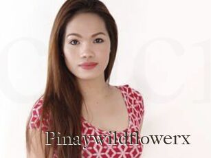 Pinaywildflowerx