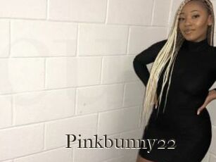 Pinkbunny22