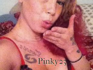 Pinky23