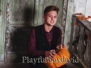 Playfulboydavid