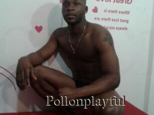 Pollonplayful