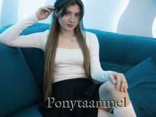 Ponytaamnel