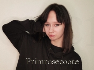 Primrosecoote