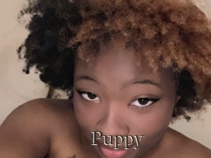 Puppy