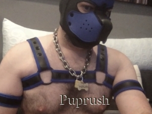 Puprush