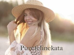 Purefelinekata