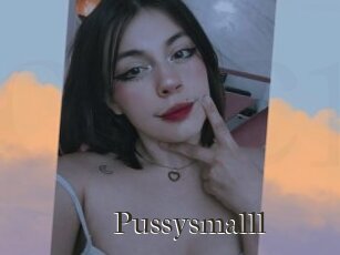 Pussysmalll