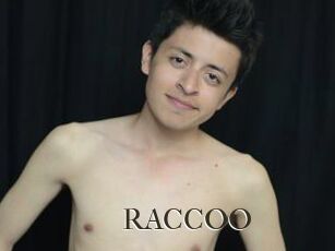 RACCOO